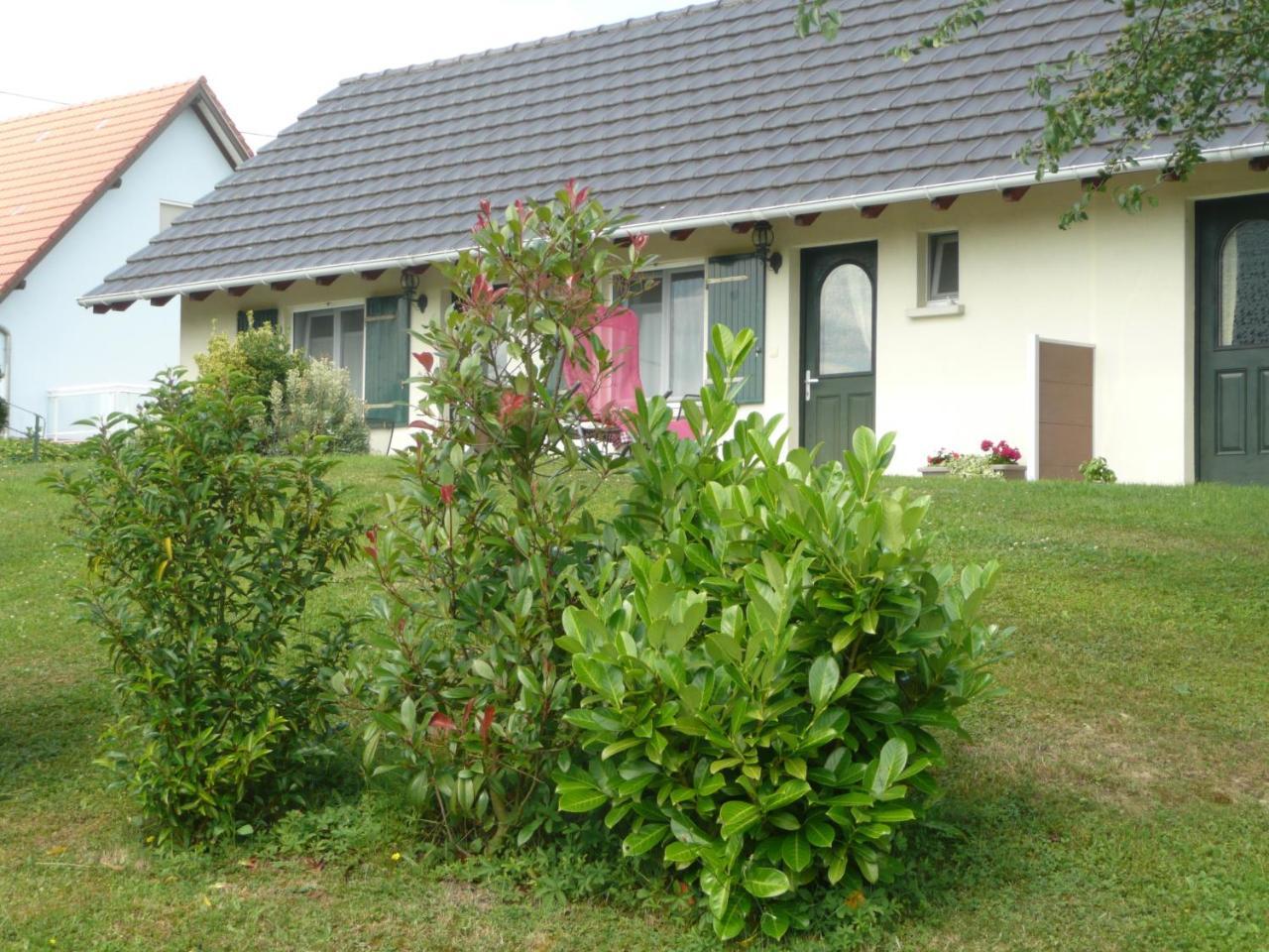 Chez Anny Et Jean Au Mittelbuehl-Reichshoffen Bed and Breakfast Eksteriør billede